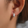 Sheen Silver Earrings with a Polished Look