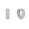 Silver Aerial Earrings for a Sleek Style